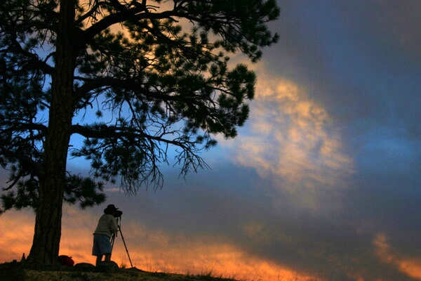 Photographer At Work