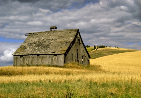 Palouse Barn-Before