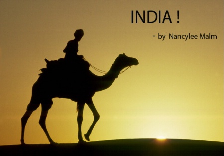 Camel at Sunset in India 1990