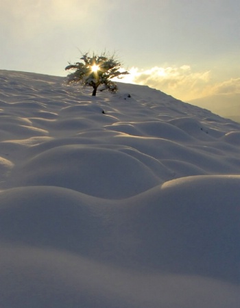 Snow dunes