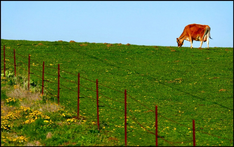 King of the Hill........ Oops Queen