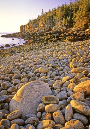 Otter Cliffs from Boulder Beach