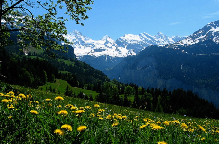 Spring in Wengen