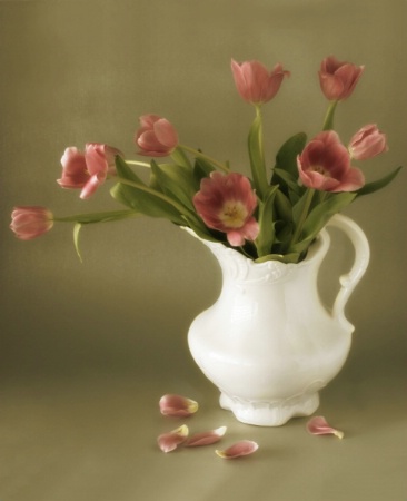 Pitcher and Petals