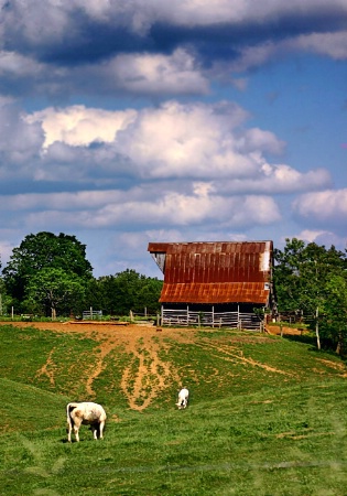 Happy Trails