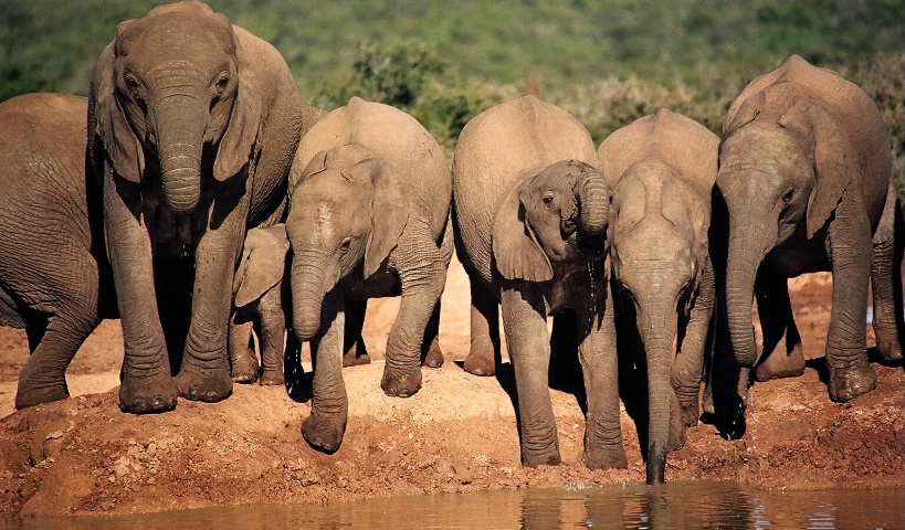 Gossip Around the Watercooler