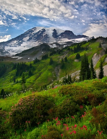 Rainier Layers