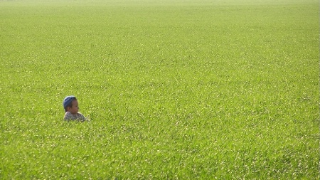 Young Man and the Green Sea