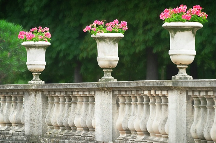 Flowers after Lens Blur