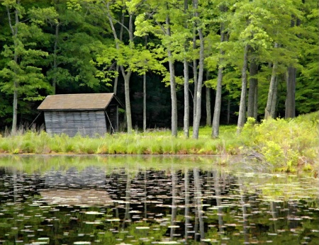 By the Pond