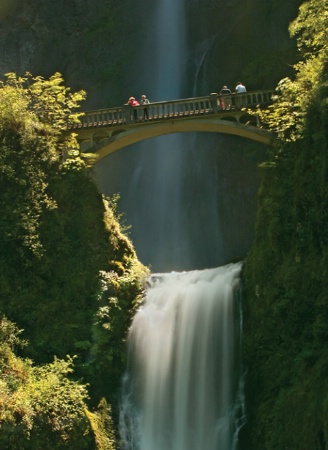 Bridge Over Turbulent Waters