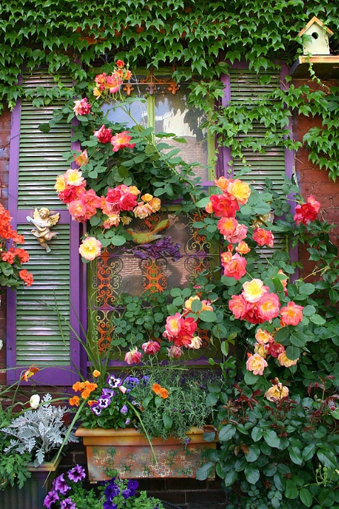 Rosey Window