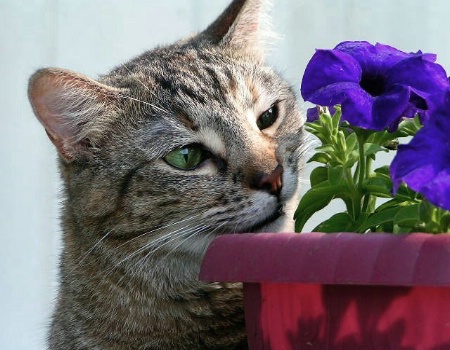 Take time to smell the flowers...