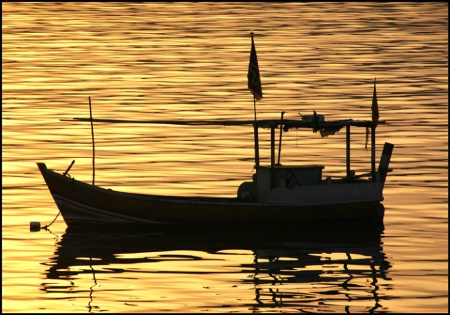 boat in the gold