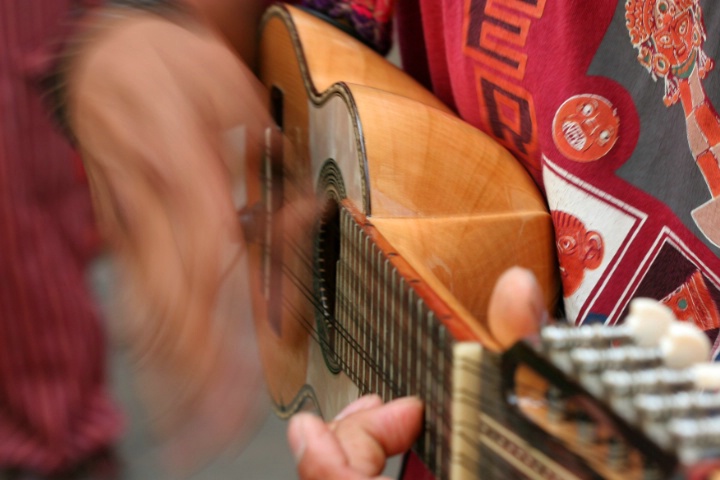 Charango Player