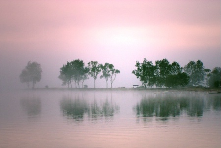 Pink Mist.