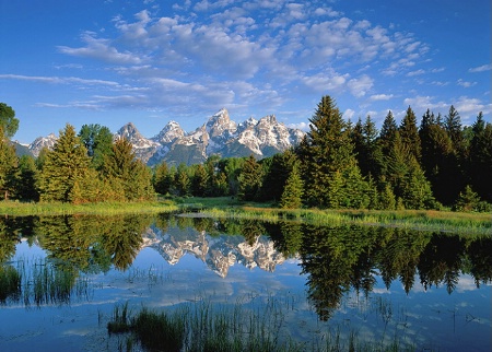 Schwabacher