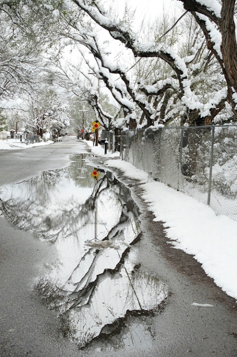 Spring Snow I