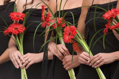 Hands and Flowers