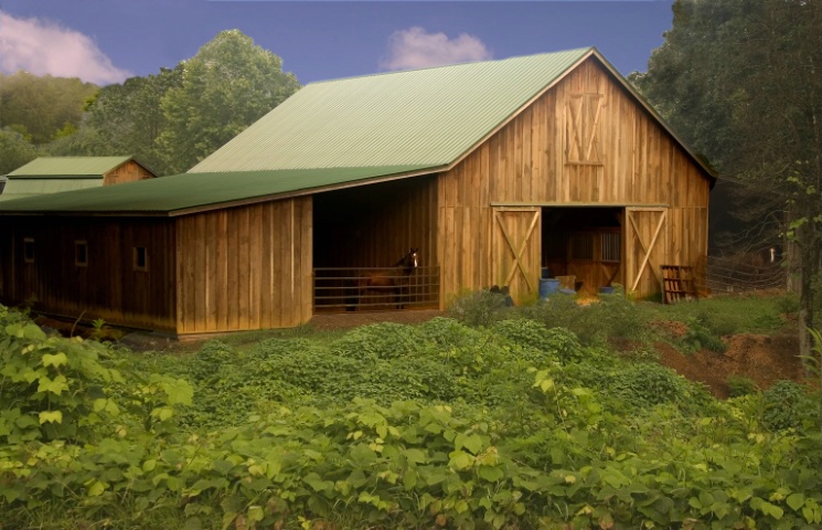 Green Roof Barn in North Georgia