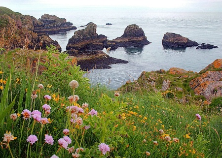 View from Slains Castle