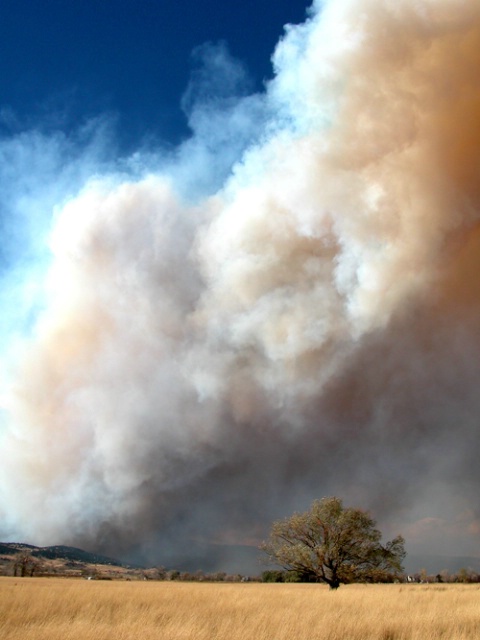 Lone Tree, Smoke