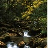 © Bob Peterson PhotoID # 1097111: Fall in the Blue Ridge