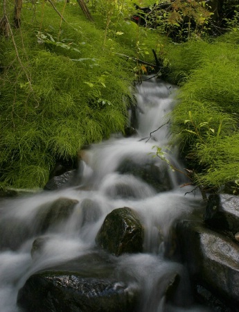 Bayhorse Creek