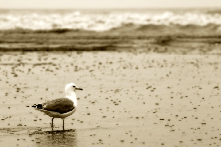 By the shore