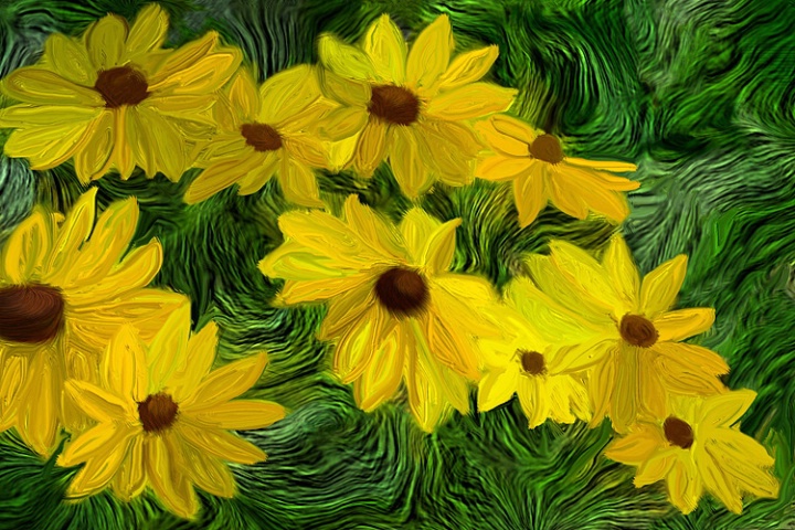 Painted Susans