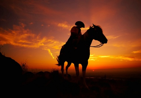 Southwest Equestrian Sky