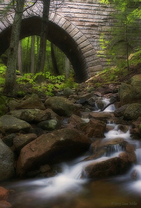 Once Upon A Time - Acadia NP