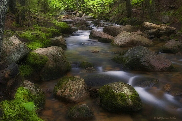 Beside Still Waters - Acadia NP