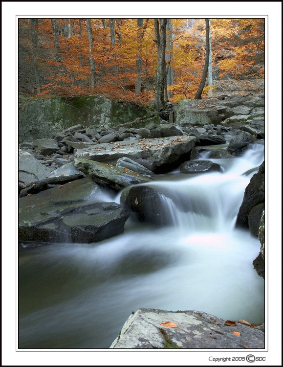 Falls at the Catskills