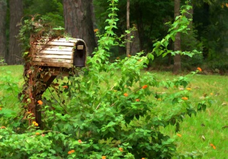 Old Rural Mailbox