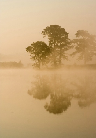 Misty Morning