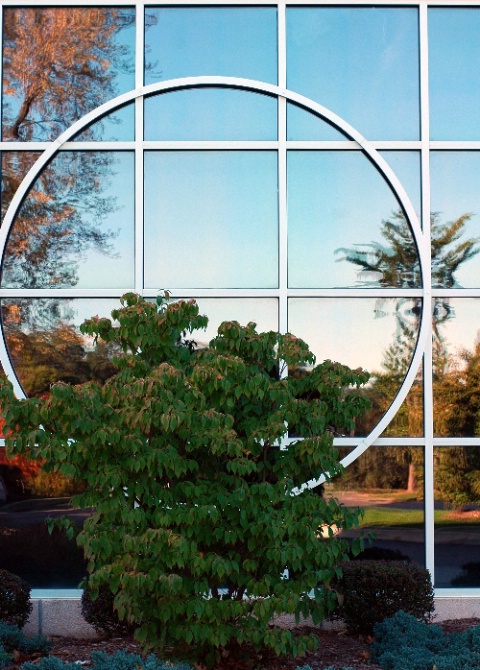 Fall Reflections in Window(good to go)