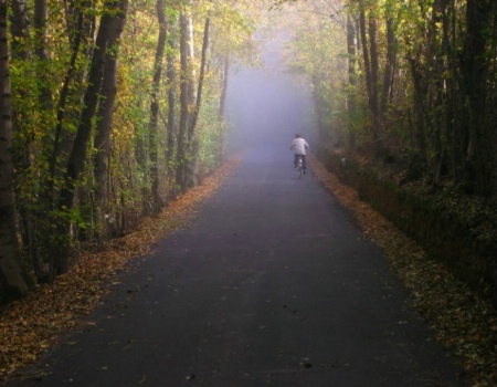 Riding into the mist