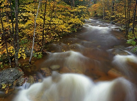 Albany Brook - White Mountains