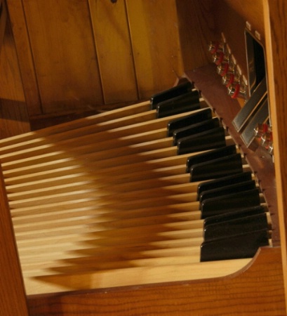 Organ Pedals