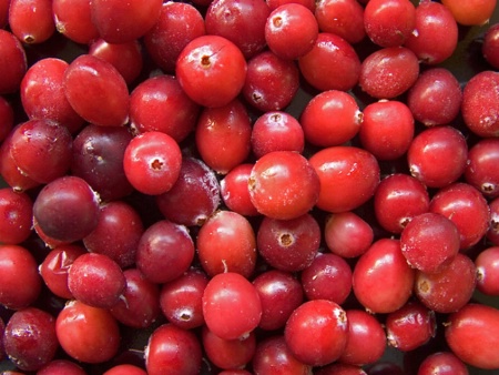 Cranberry Group