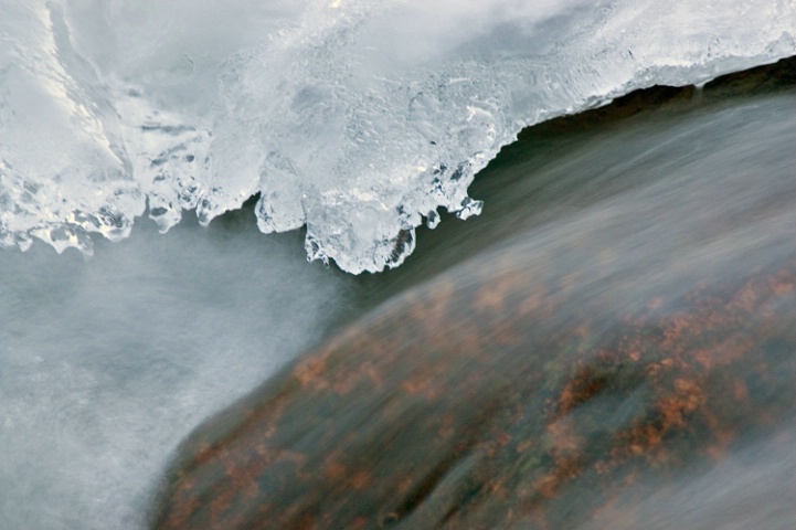 Fall Thaw Abstract