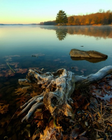 Lakeside Reflections II