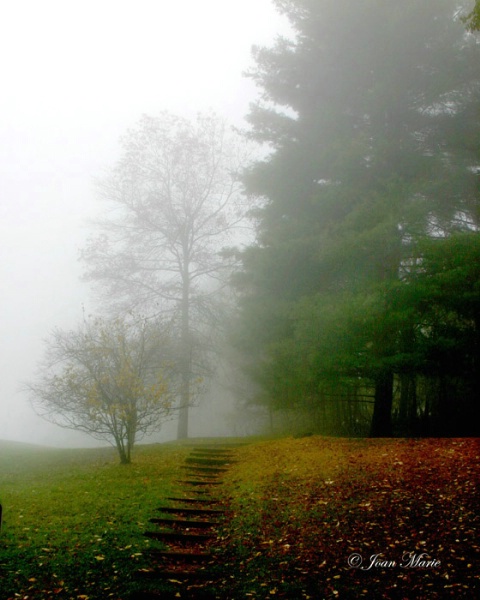 Misty Fall