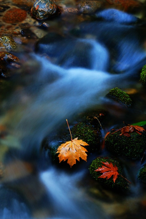 Ghost in the creek