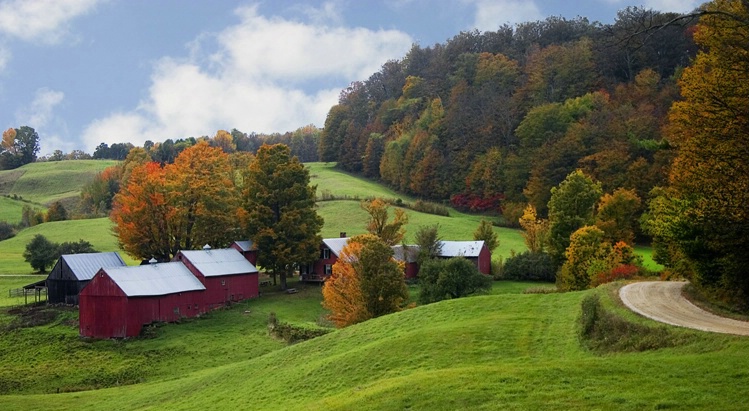 Beautiful Day at Jenn Farm