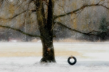 Snowy Swing