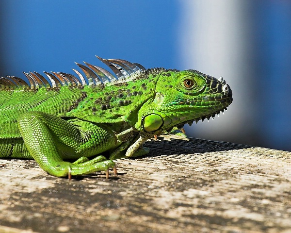 Catching Some Rays