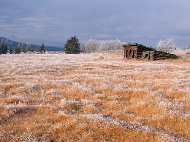 Harness Sheds in Hoar Frost