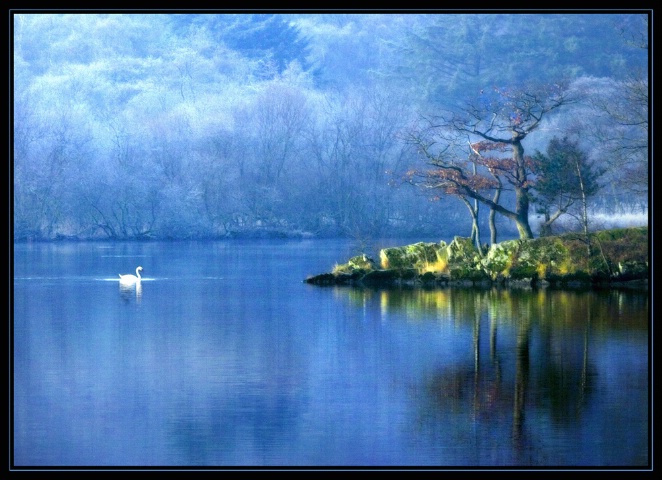 Frosty morning on the lake